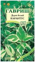 Семена Дерен белый Карантус 0,1 г (Гавриш)