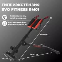 Гиперэкстензия EVO FITNESS RM01