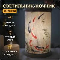 Карпы кои / Светильник-ночник детский настольный для сна в комплекте с открытками в красивой упаковке / Рыбки, Япония, Китай