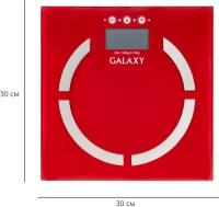 Весы-анализаторы многофункциональные GALAXY GL4851