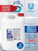 Универсальное дезинфицирующее чистящее средство Domestos Professional Свежесть Атлантики 5 л