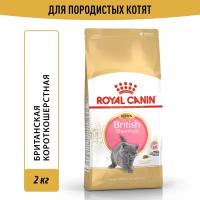 Royal Canin Kitten British Shorthair для котят, британской породы в возрасте до 12 месяцев 2 кг