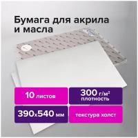 Бумага / альбом художественный для рисования маслом и акрилом 300 г/м2, 390x540 мм, 10 листов, Brauberg Art Premiere