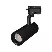 Трековый светильник-спот Arlight LGD-GELIOS-2TR-R80-30W Warm3000 031244