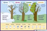 Времена года, месяцы, дни недели. Seasons, months, days of week. Наглядное пособие для начальн школы. Наглядные пособия. Плакаты