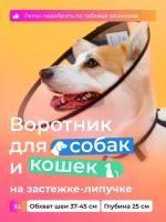 Воротник защитный ветеринарный для собак и кошек № 25 см, на липучке / AniMall