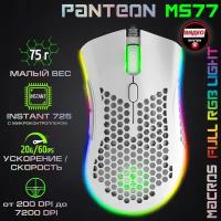 Мышь PANTEON MS77