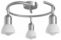 Спот потолочный поворотный Arte Lamp FALENA A3115PL-3SS