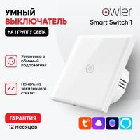 Умный выключатель на 2 группы света Owler Smart Switch 2 Wi-Fi, работает с Алисой