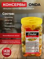Консервы овощные маринованные соленья турецкие ONDA 1430 гр