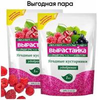 Комплексное удобрение Ягодные кустарники (вырастайка), 1кг х 2 шт (2 кг)