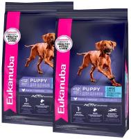 EUKANUBA PUPPY & JUNIOR LARGE BREED для щенков крупных пород (15 + 15 кг)