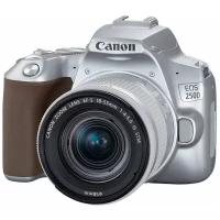 Зеркальный фотоаппарат Canon EOS 250D Kit 18-55 IS STM, серебристый