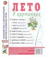 Лето в картинках. Наглядное пособие для педагогов, логопедов, воспитателей и родителей