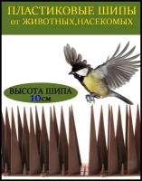 Пластиковые шипы, анти птица и голубь, кот, анти голубь 2 ШТ