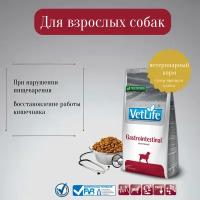 Farmina Vet Life диетическое питание для собак при нарушениях работы жкт (gastro-intestinal)