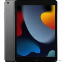 Apple Планшетный компьютер Apple iPad 10.2-inch 2021 Wi-Fi 64GB - Space Gray MK2K3ZP/A (Гонконг) Серый