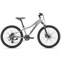 Горный (MTB) велосипед Giant XtC Jr Disc 24 (2021)