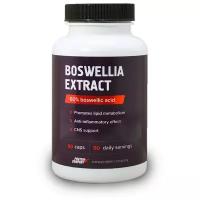 Капсулы PROTEIN.COMPANY Boswellia extract Экстракт босвеллии, 90 г, 250 мл, 90 шт