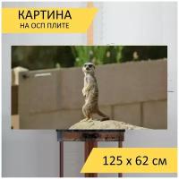 Картина на ОСП 