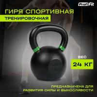 Гиря тренировочная PROFI-FIT 24 кг