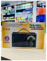 Радиоприемник Raiseng R-018 (Black)