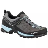 Ботинки Salewa Ws Mtn Trainer Gtx