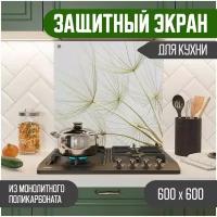 Защитный экран для кухни 600 х 600 х 3 мм 