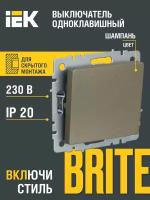 Выключатель IEK BR-V10-0-10 BRITE, 10 А, с защитной шторкой