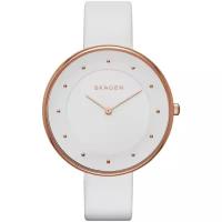 Наручные часы SKAGEN SKW2291