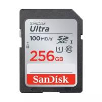 Карта памяти SanDisk Ultra SDXC 256GB UHS-I U1 R100/W10MB/s (SDSDUNR-256G-GN6IN)