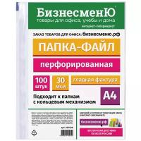 БизнесменЮ Папка-файл перфорированная А4 Гладкая фактура, 30 мкм, 100 шт, прозрачный