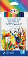 Цветные карандаши для школы 12 цветов для рисования мягкие / Школьный набор цветных карандашей Гамма 