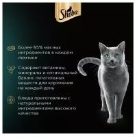 Корм для кошек SHEBA форель креветки пауч 75г (упаковка - 28 шт)