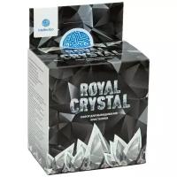 Набор для исследований Intellectico Royal Crystal, 1 эксперимент, серебристый