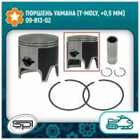 Поршень Yamaha (T-Moly, +0,5 мм) 09-813-02