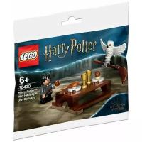 Конструктор LEGO Harry Potter 30420 Harry Potter and Hedwig, 31 дет