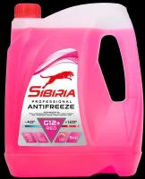 Антифриз SIBIRIA Антифриз -40 G12 5 л, 1 уп