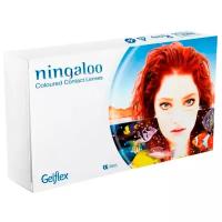 Контактные линзы Gelflex Ningaloo Coloured 3-х тоновые, 2 шт