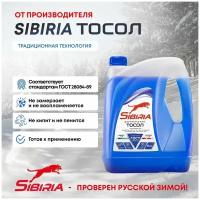 Тосол SIBIRIA Дзержинский (-40) синий 5кг