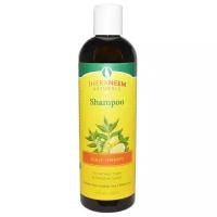 TheraNeem шампунь Naturals Scalp Therape для ухода за кожей головы