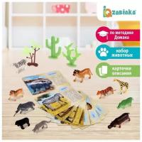 Набор животных с обучающими карточками «Дикие животные разных стран», животные пластик, карточки