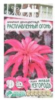 Семена Евро-Семена Амарант двухцветный Расплавленный Огонь, 0,1 г