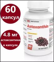 Астаксантин 240% XL Astaxanthin with MCT, 60 капсул, комплекс для иммунитета