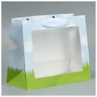 Пакет крафтовый с пластиковым окном «Friends», 24 х 20 х 11 см
