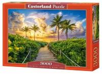 Пазл 3000 Красочный восход в Майами С-300617 Castor Land