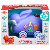 Игрушка детская для малышей каталка 