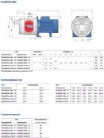 Поверхностный насос Pedrollo PLURIJETm 4/100 (750 Вт)