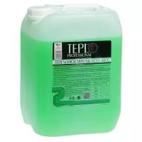 Теплоноситель пропиленгликоль TEPLO Professional ECO -65 8.99 л 10 кг