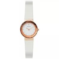 Наручные часы SKAGEN SKW2769